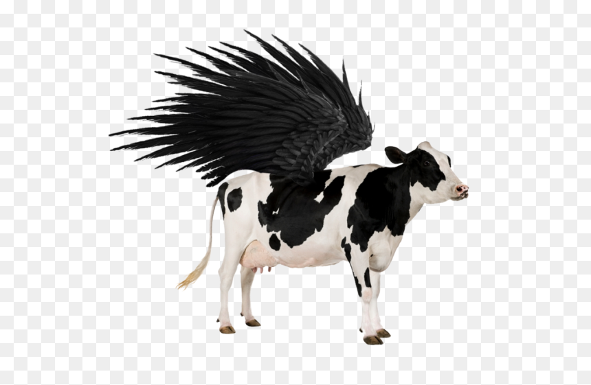Cow Transparent, HD Png Download - cow png