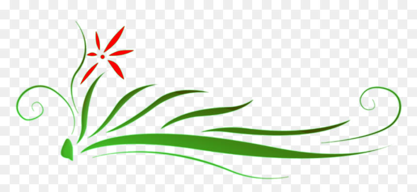 แบค กราว สวย ๆ, HD Png Download - floral png