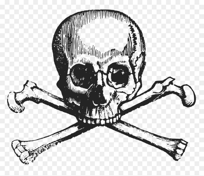 Human Behavior,art,skeleton - Skull And Crossbones Free, HD Png Download - skeleton png