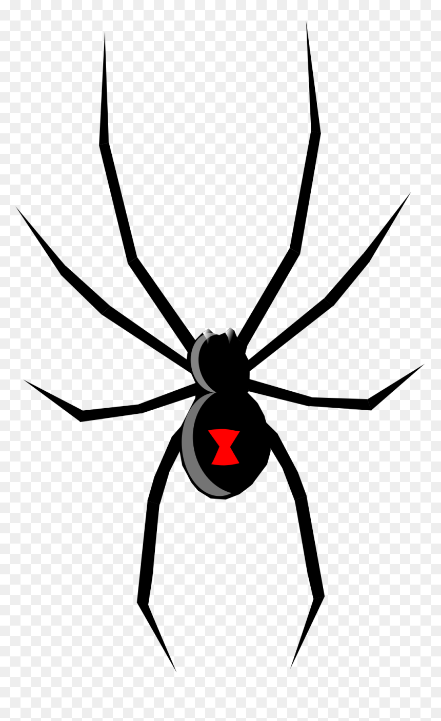 Black Widow,wing,widow Spider - Black Widow Spider Pdf, HD Png Download - spider png
