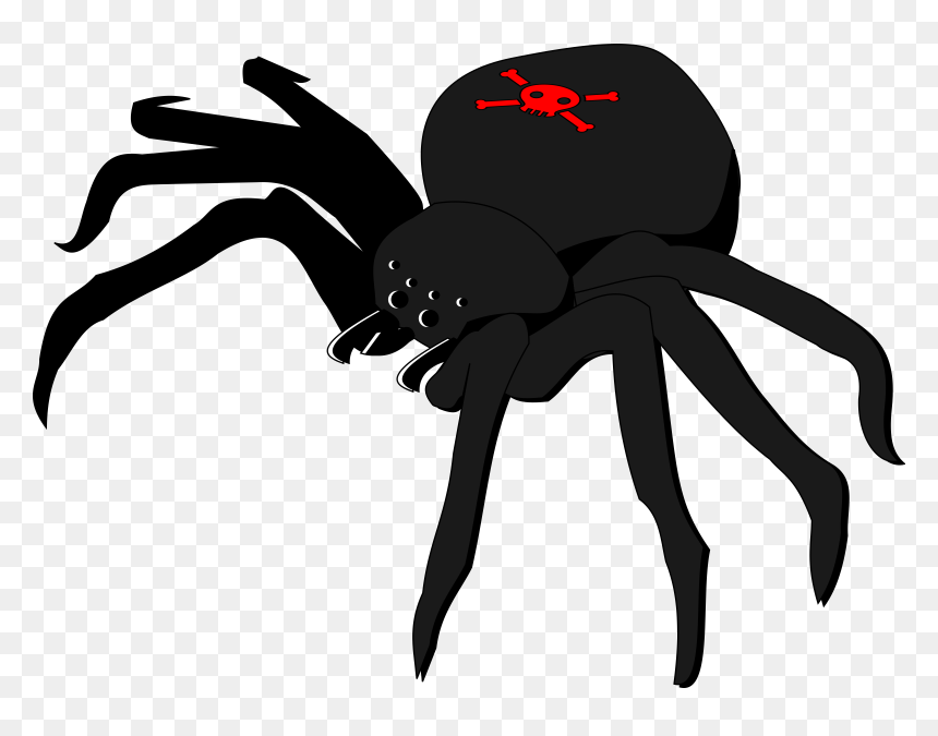 Skull And Crossbones Spider Clip Arts - Skull And Crossbones Spider, HD Png Download - spider png