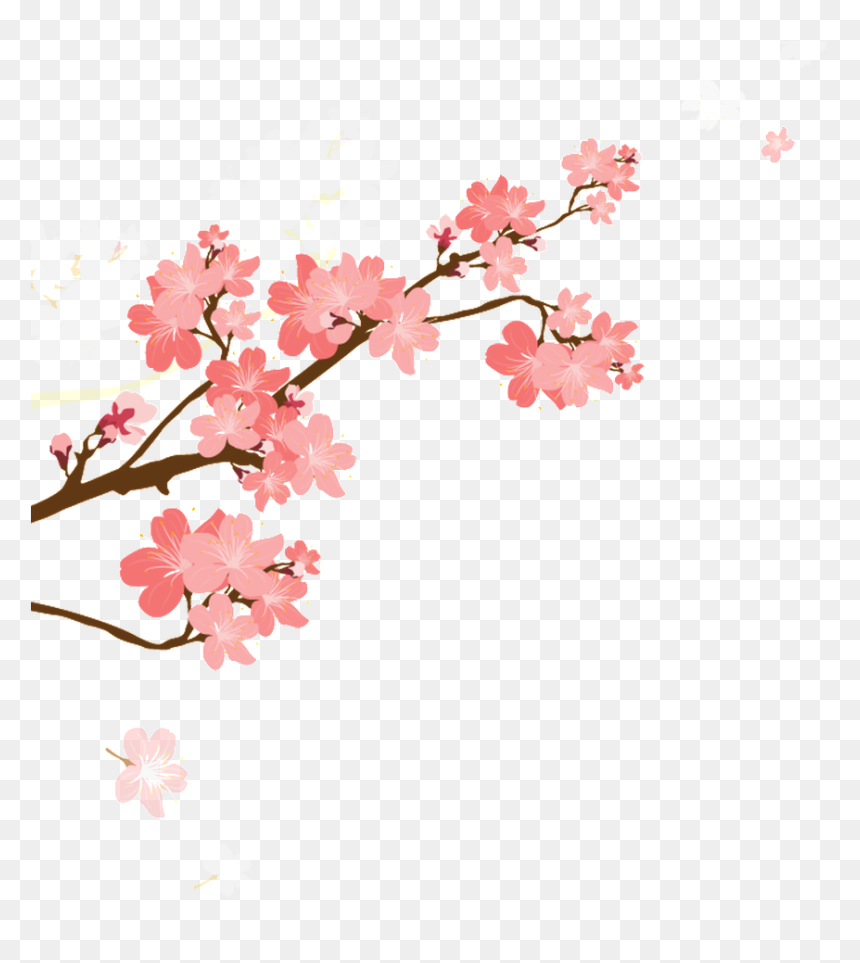 Korean Style Cherry Blossom Cartoon Transparent - Transparent Cherry Blossom Png, Png Download - cherry blossom png