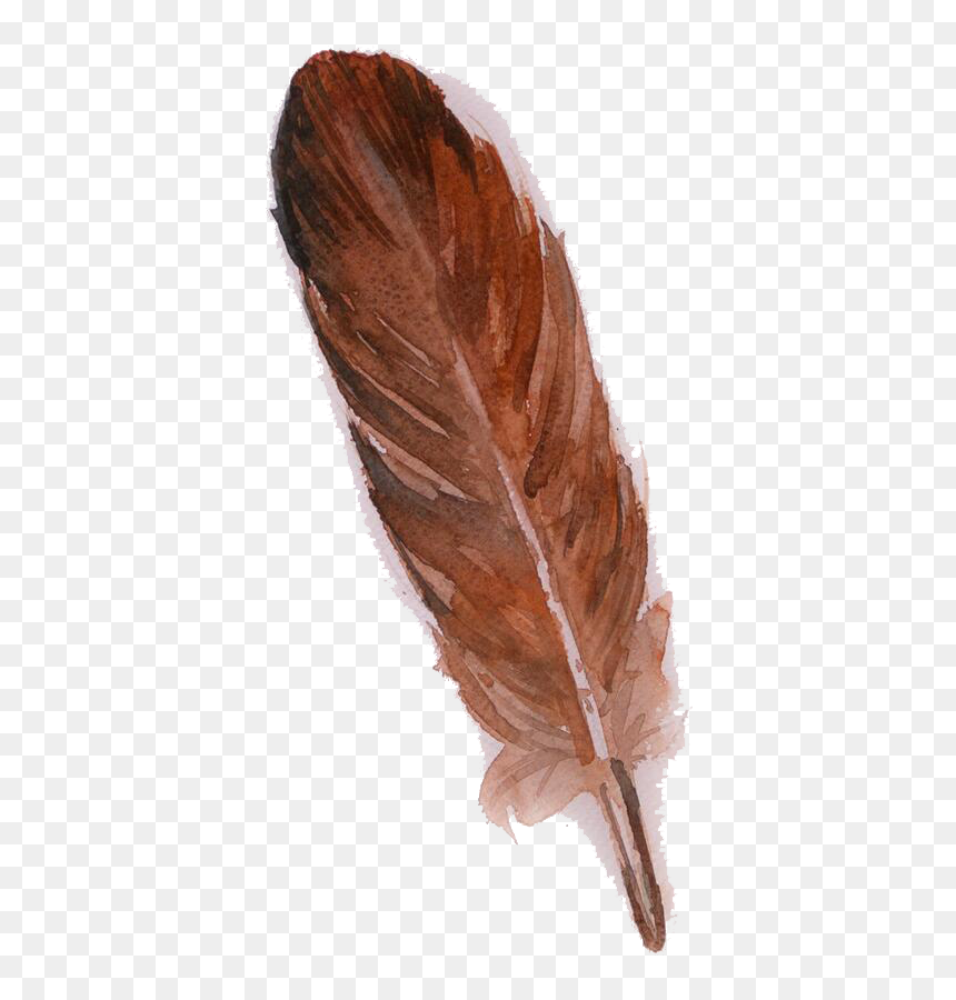 Feather Owl Brown Watercolor Painting - Transparent Png Brown Feather Png, Png Download - feather png