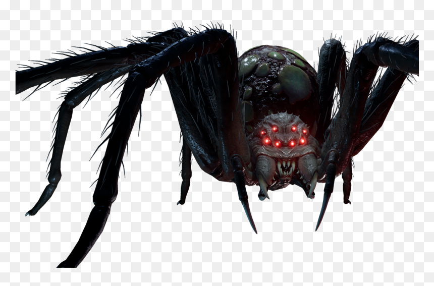 Last Year Wiki - Last Year The Spider, HD Png Download - spider png