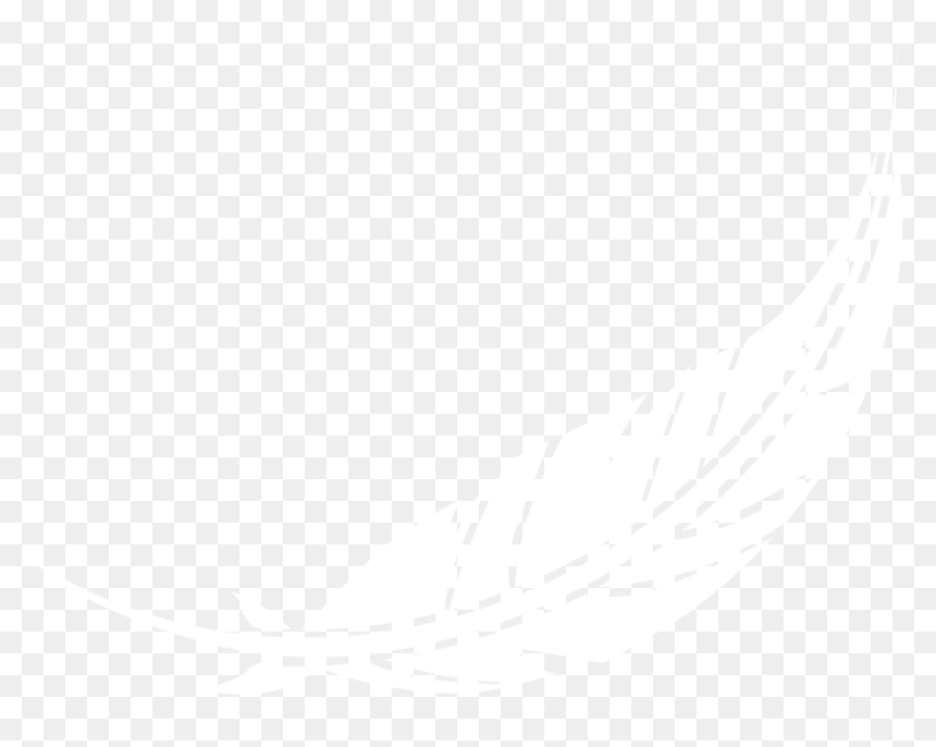 Marta Farmer Feather - Illustration, HD Png Download - feather png