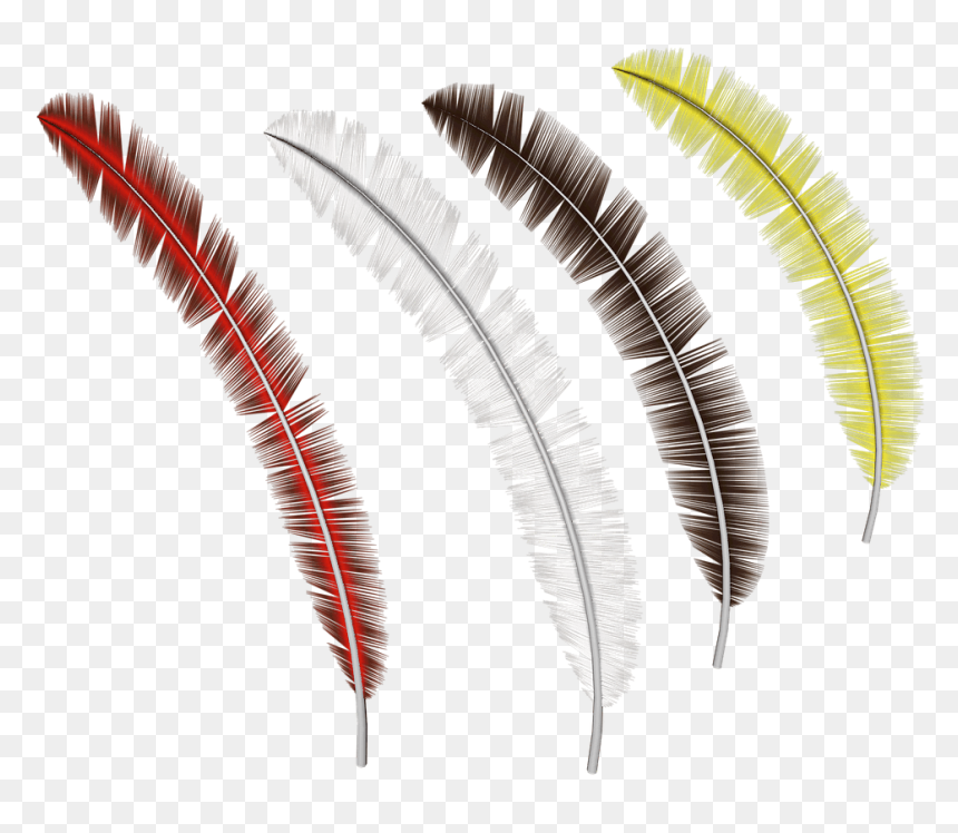 Imagenes Plumas Png Transparente, Png Download - feather png