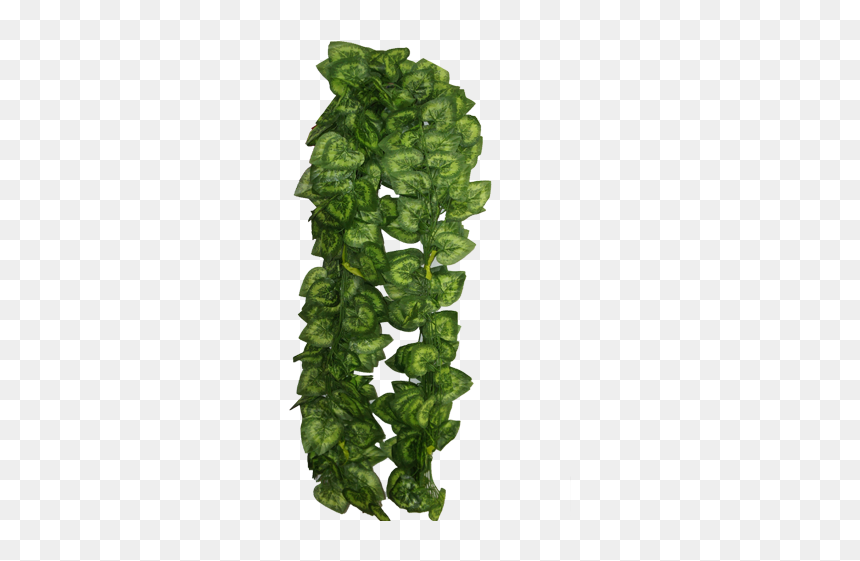 Artificial Leaves Png, Transparent Png - vine png