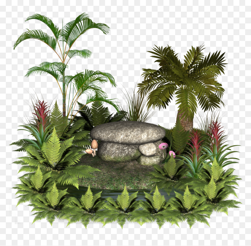 Plants And Rocks - Palm Tree Pot Png, Transparent Png - plants png