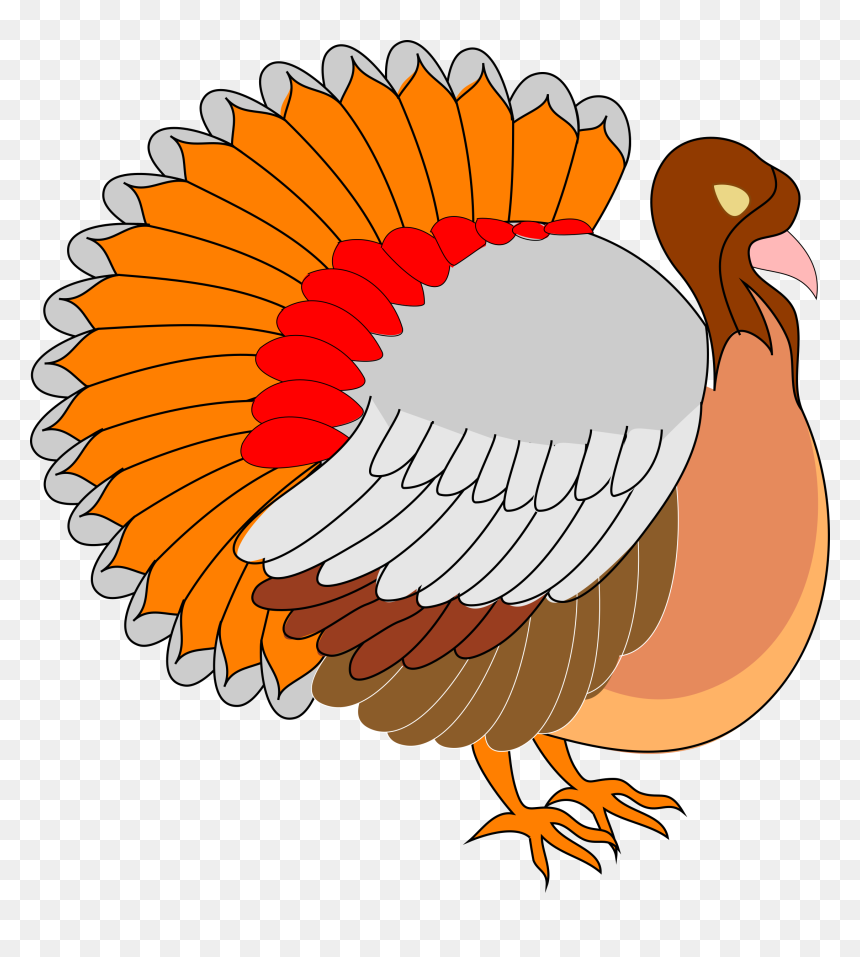 Turkey Png Icons - Turkey Clip Art, Transparent Png - turkey png