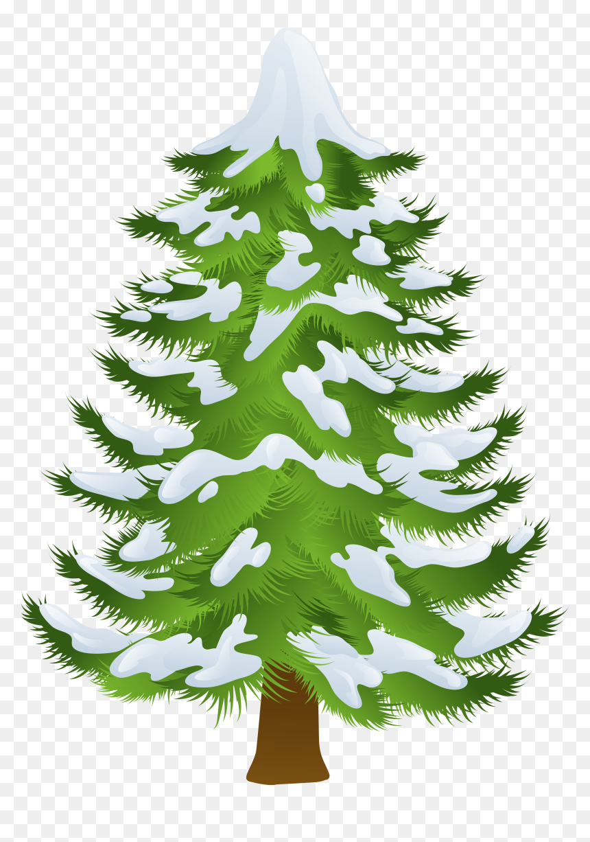 Transparent Pine Tree Clipart, HD Png Download - pine tree png