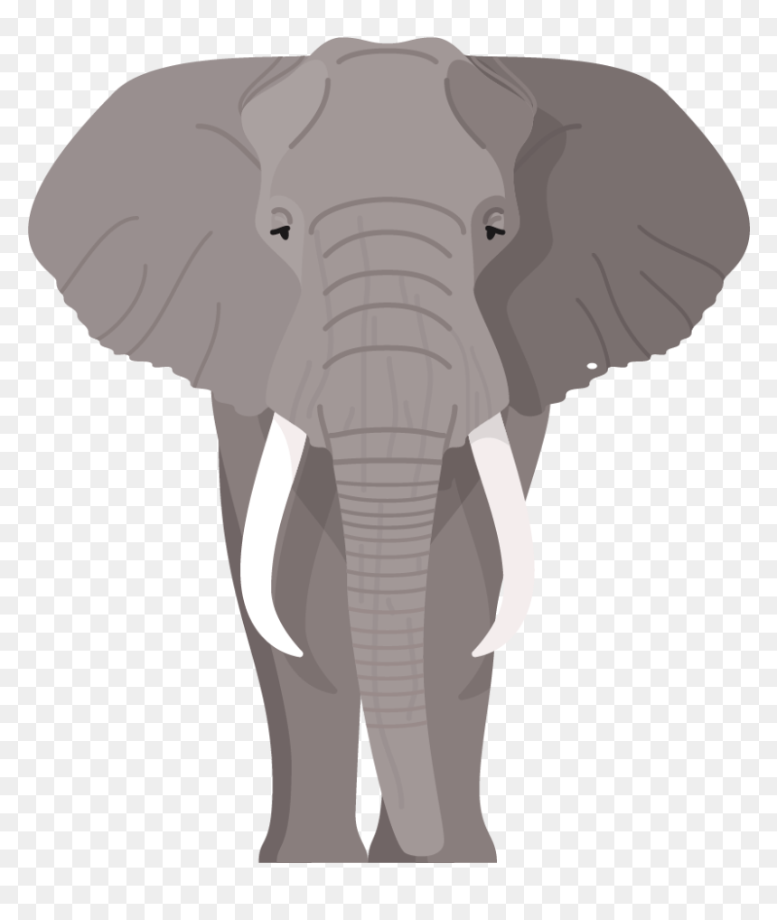 Transparent Elephant Seal Png - Indian Elephant, Png Download - elephant png