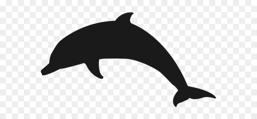 Dolphin Png Transparent Images - Dolphin Stencil, Png Download - dolphin png