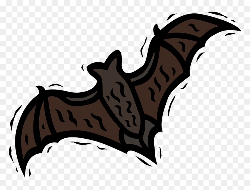 Phobia Of Wings, HD Png Download - bat png