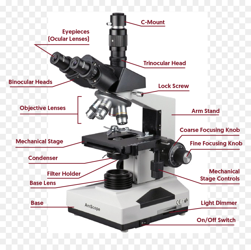 Inclination Joint In Microscope , Png Download - Phase Contrast Microscope, Transparent Png - joint png