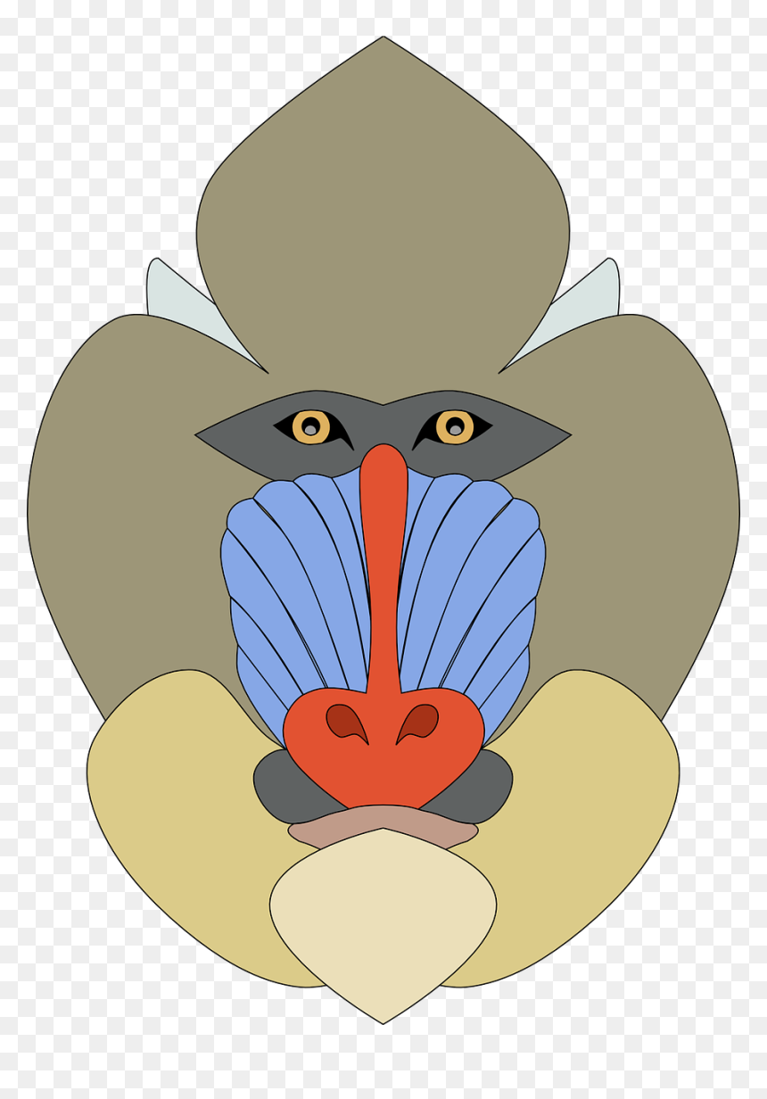 Mandril Cara Png, Transparent Png - monkey png
