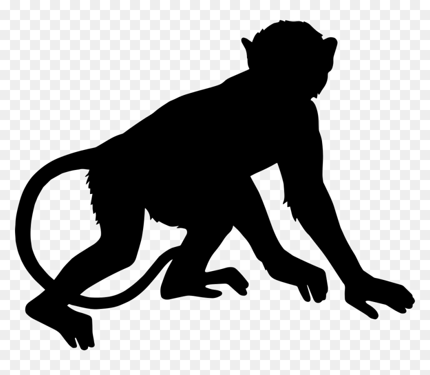 Monkey - Silhouette Monkey Png, Transparent Png - monkey png