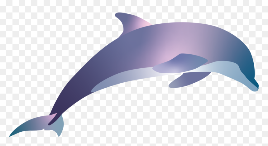 Spinner Dolphin, HD Png Download - dolphin png