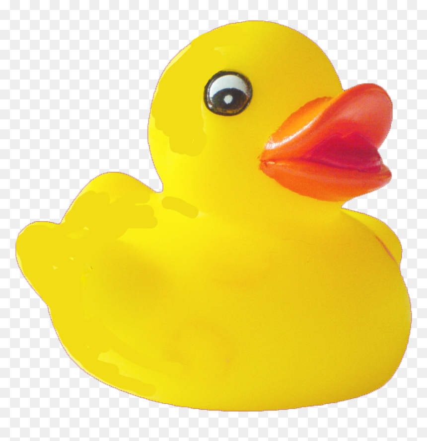Thumb Image - Transparent Background Duck Png, Png Download - duck png