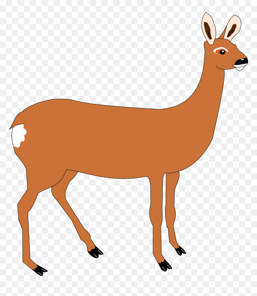 Free Clipart Of A Doe Deer - Doe Cliparts, HD Png Download - deer png