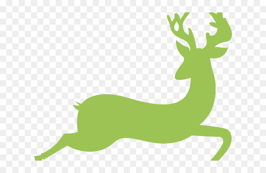 Gazelle Clipart Deer - Hd Antelope Running, HD Png Download - deer png