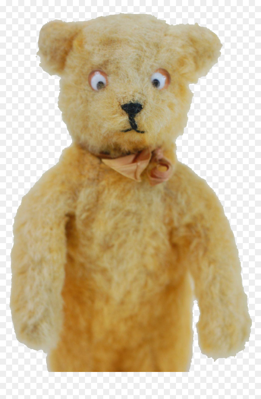 Bear With Googly Eyes, HD Png Download - googly eyes png