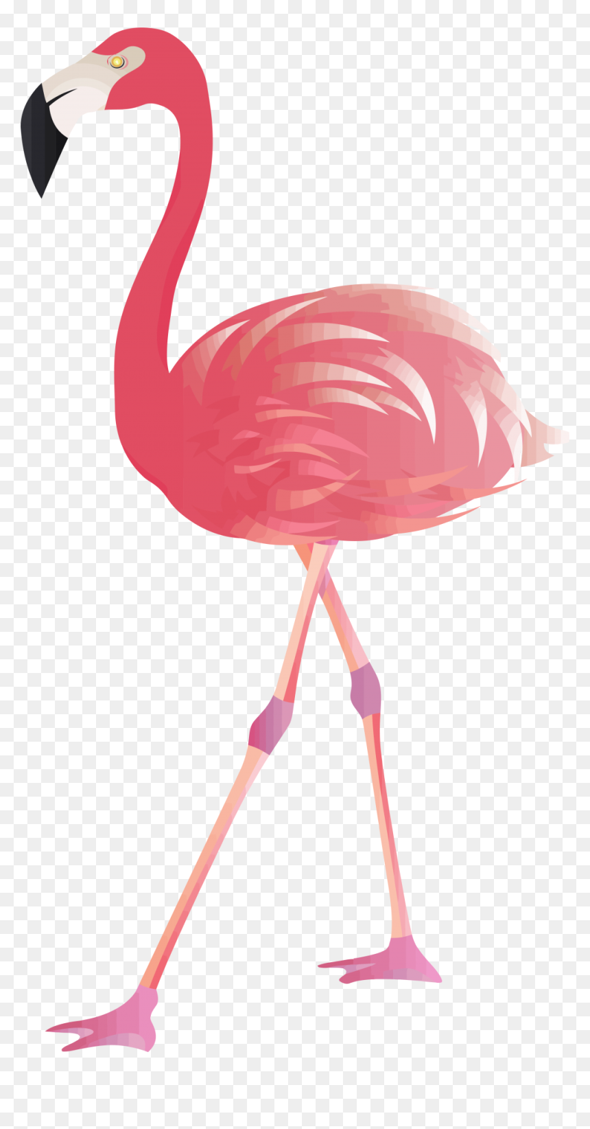 Transparent Background Flamingo Clipart Png, Png Download - png pictures