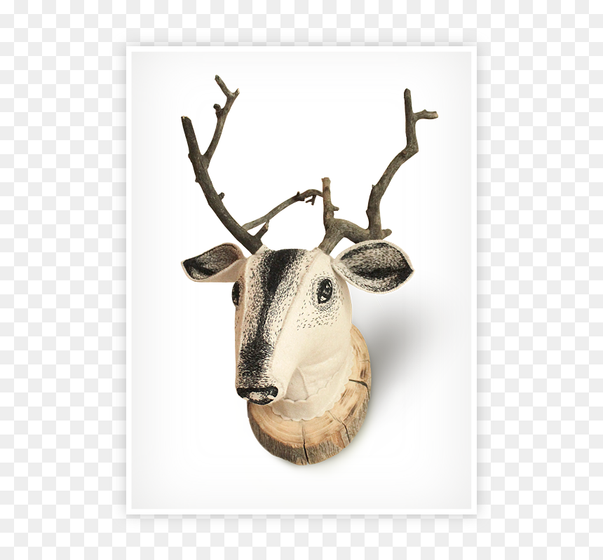 Deer , Png Download - Reindeer, Transparent Png - deer png