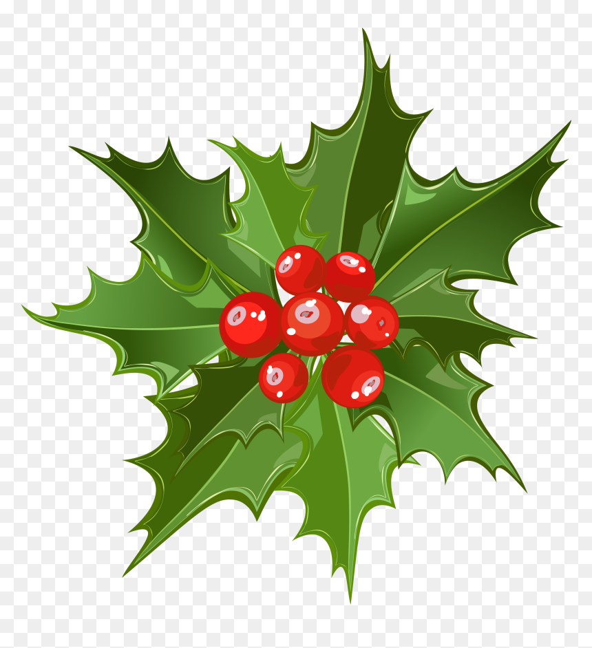 Christmas Mistletoe Clipart Png , Png Download - Mistletoe Hd, Transparent Png - mistletoe png
