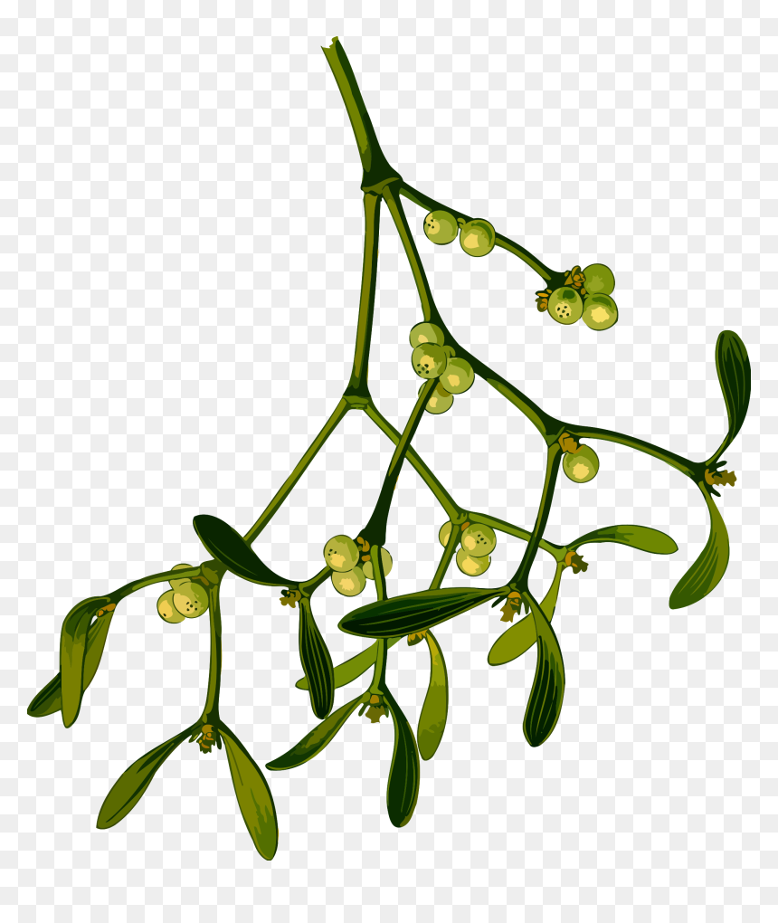 Christmas Mistletoe Computer Icons Vintage Christmas - Mistletoe Png, Transparent Png - mistletoe png