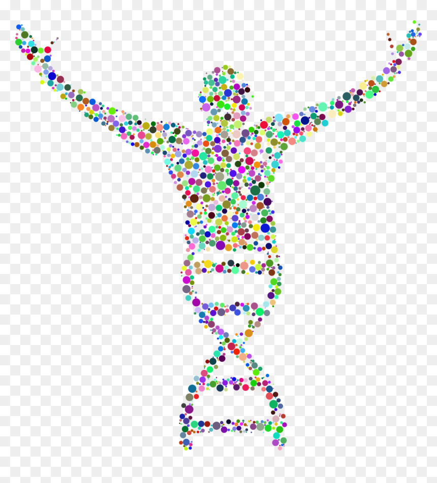 Sperm Dna Fragmentation Test - Dna Human, HD Png Download - dna png