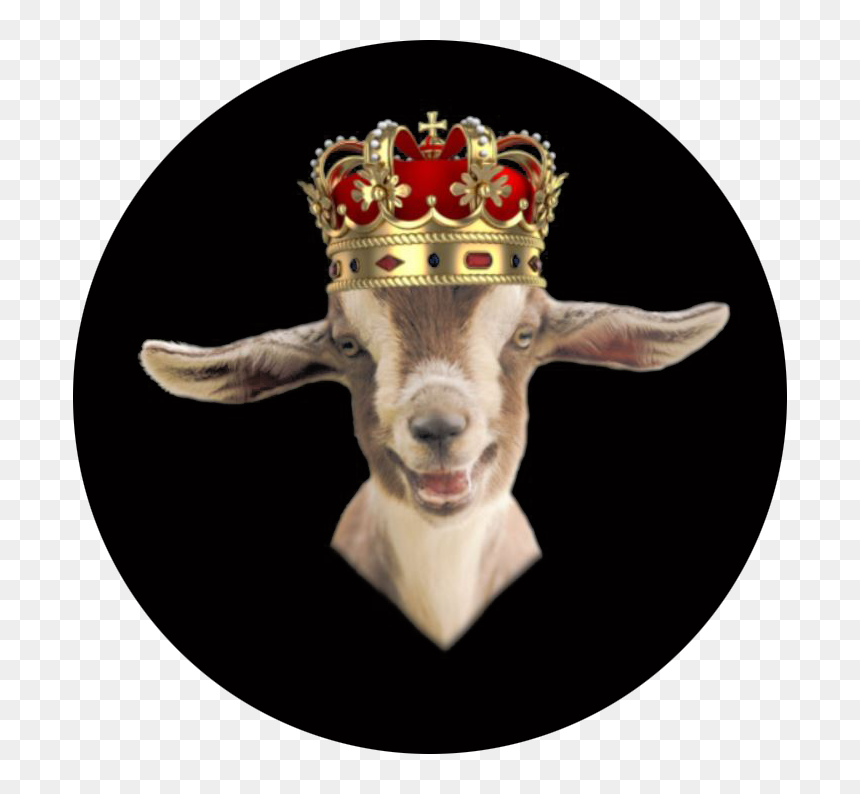 Goat With King Crown , Png Download - Animal Sloth Wearing Crown, Transparent Png - king crown png