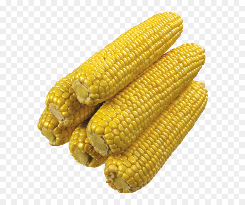 Corn Png Free Download, Transparent Png - corn png