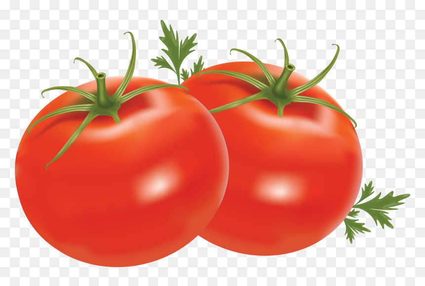 Tomatoes Clipart Png, Transparent Png - tomato png