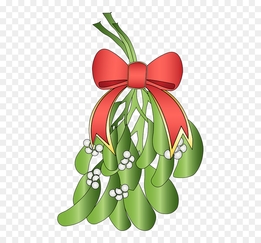 Illustration, HD Png Download - mistletoe png