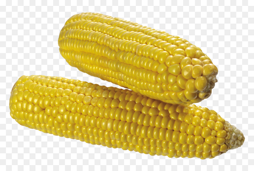 Corn Png Image, Transparent Png - corn png