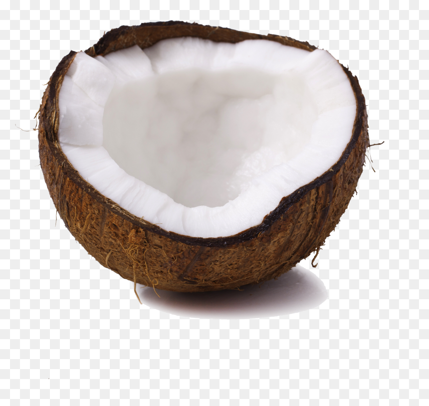 Coconut Transparent Images Only - Wood, HD Png Download - coconut png