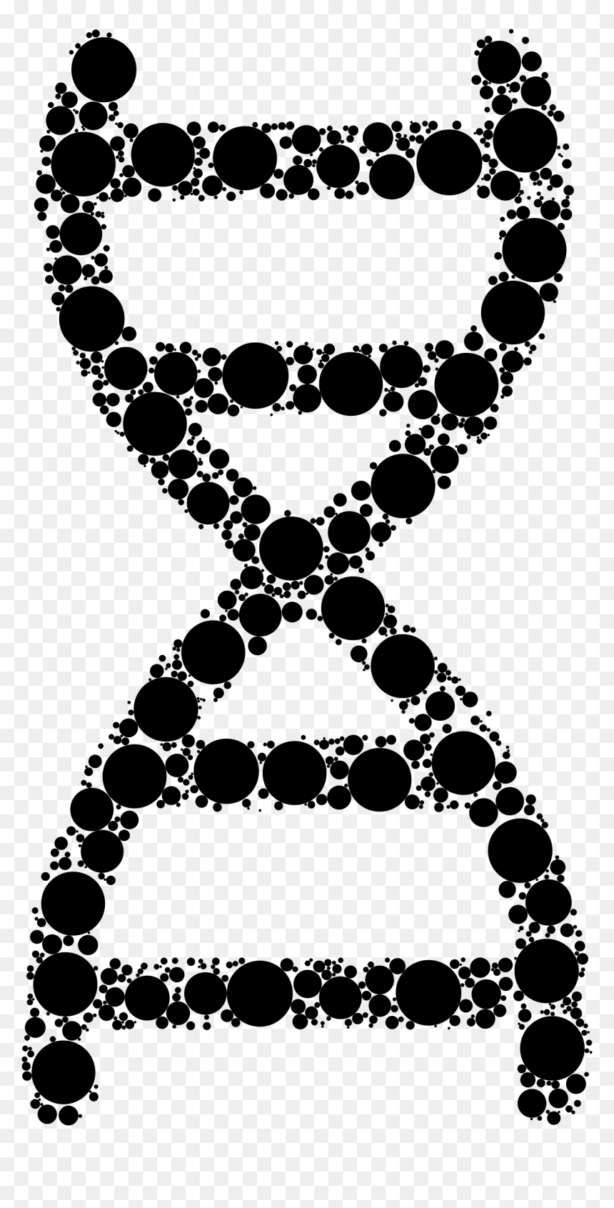 Dna Nucleic Acid Double Helix Ios Jailbreaking Polymerase - Nucleic Acid In A Human, HD Png Download - dna png