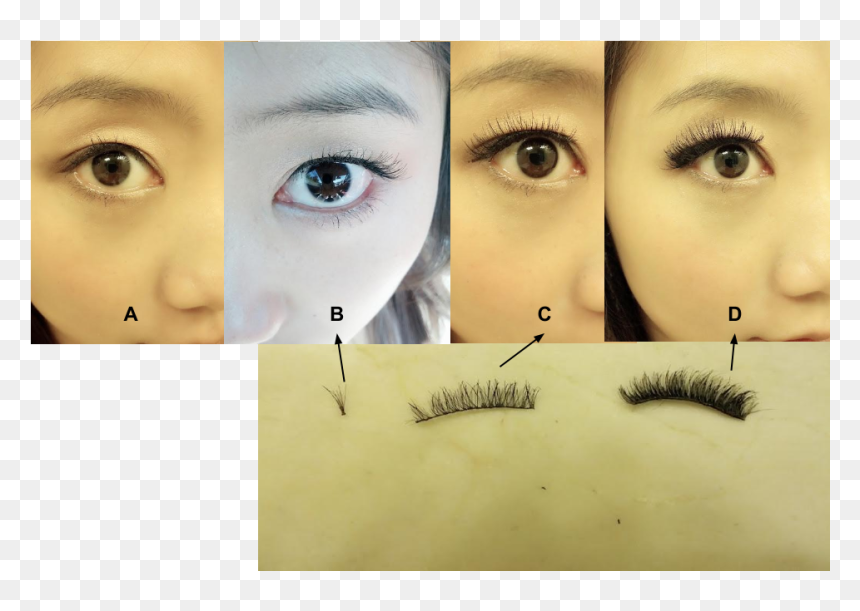 Transparent Eyelashes Png - Eye Liner, Png Download - eyelashes png