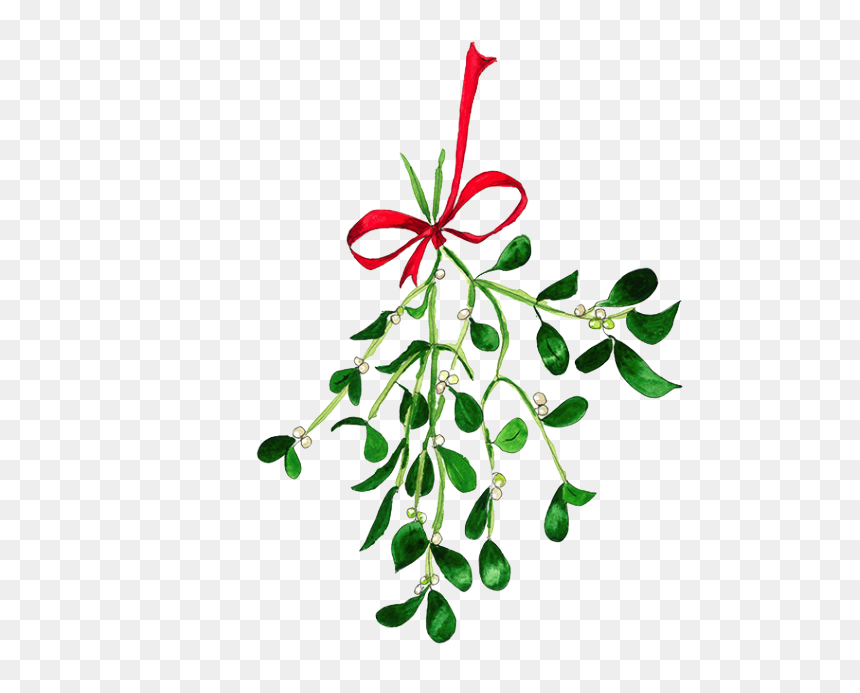 Mistletoe Texture Painting, Ink Painting, Mistletoe, - Mistletoe Watercolour, HD Png Download - mistletoe png