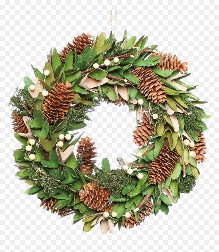 Mistletoe Png Image Hd - Portable Network Graphics, Transparent Png - mistletoe png