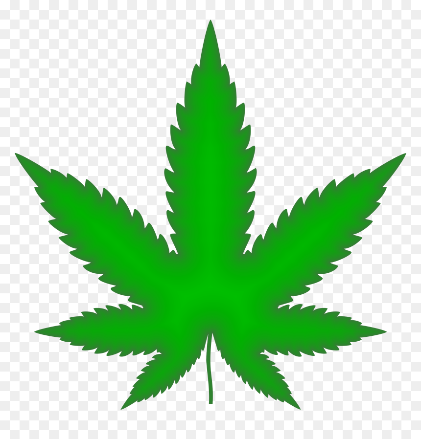 Thumb Image - Marijuana Leaf, HD Png Download - marijuana leaf png