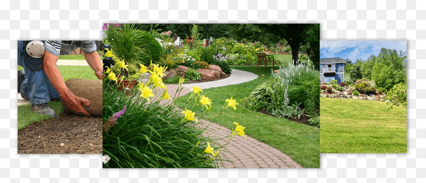 Transparent Shrub Png Plan - Idee Deco Jardun, Png Download - shrub png