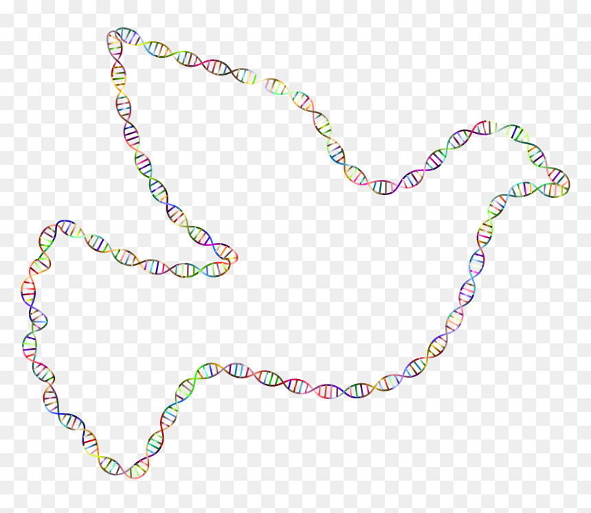 Columbidae Dna Doves As Symbols Bird Clip Art - Doves As Symbols, HD Png Download - dna png