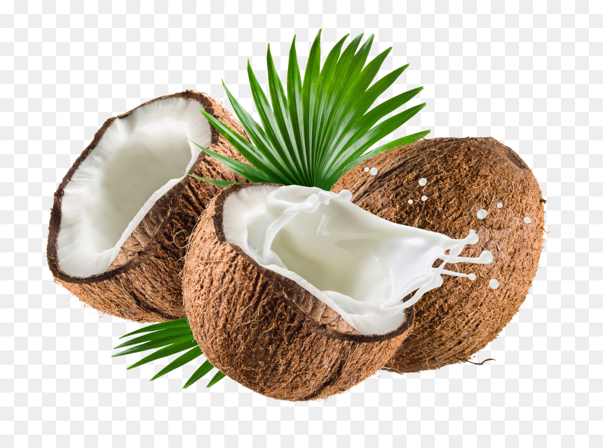 Coconut Oil De Water Coco Nata Milk Clipart, HD Png Download - coconut png