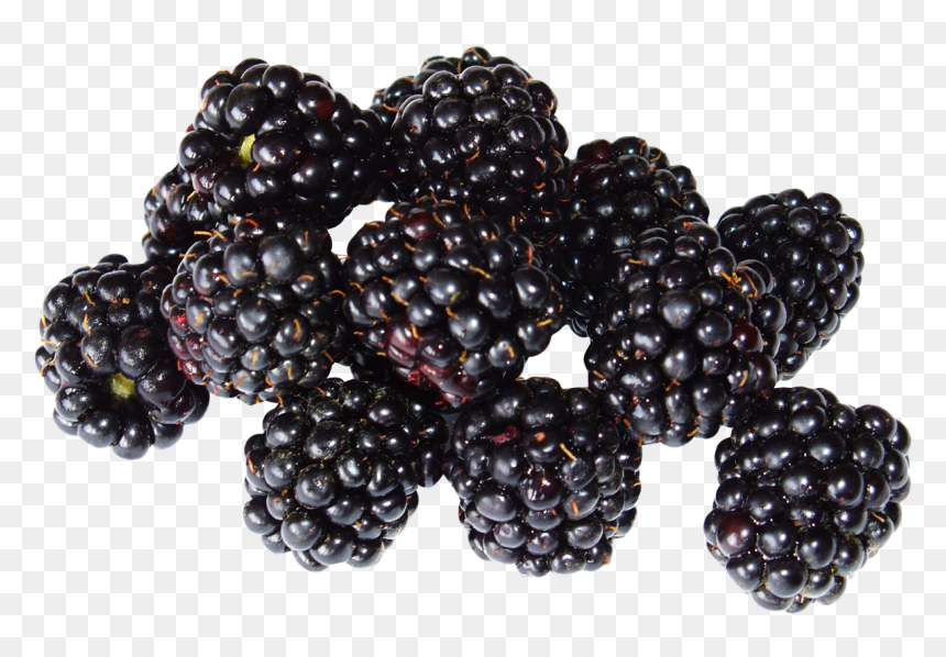Blackberry Fruit Png Image - Blackberry Fruit Png, Transparent Png - fruit png