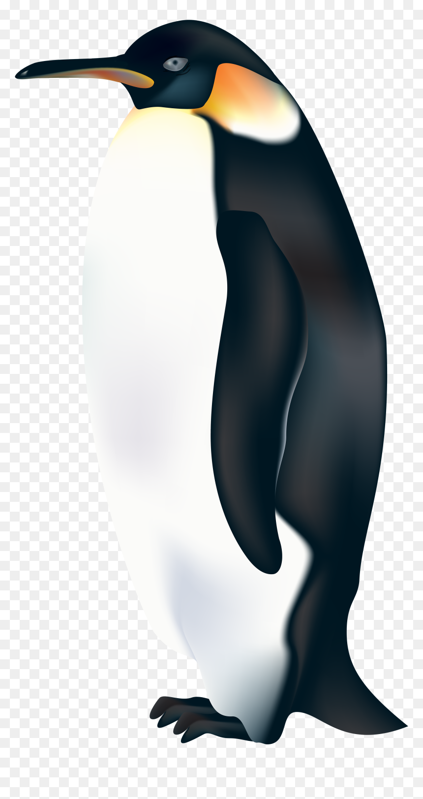 Penguin Png Clip Art - Emperor Penguin Clipart, Transparent Png - penguin png