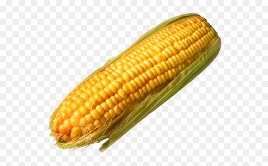 Corn Png Free Download - Corn On The Cob Transparent Background, Png Download - corn png