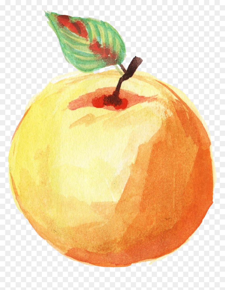 Watercolor Orange Fruit Png , Png Download - Watercolor Fruit Transparent Background, Png Download - fruit png