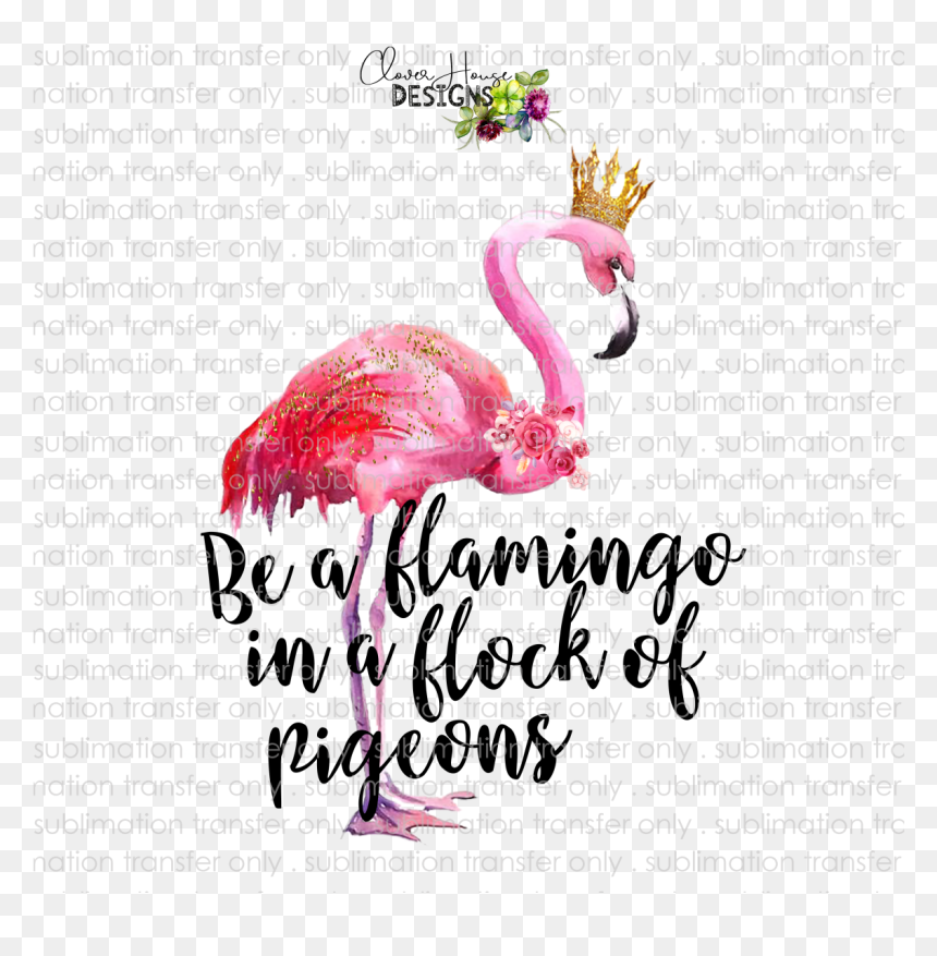 Flamingo In A Flock Of Pigeons - Greater Flamingo, HD Png Download - flamingo png