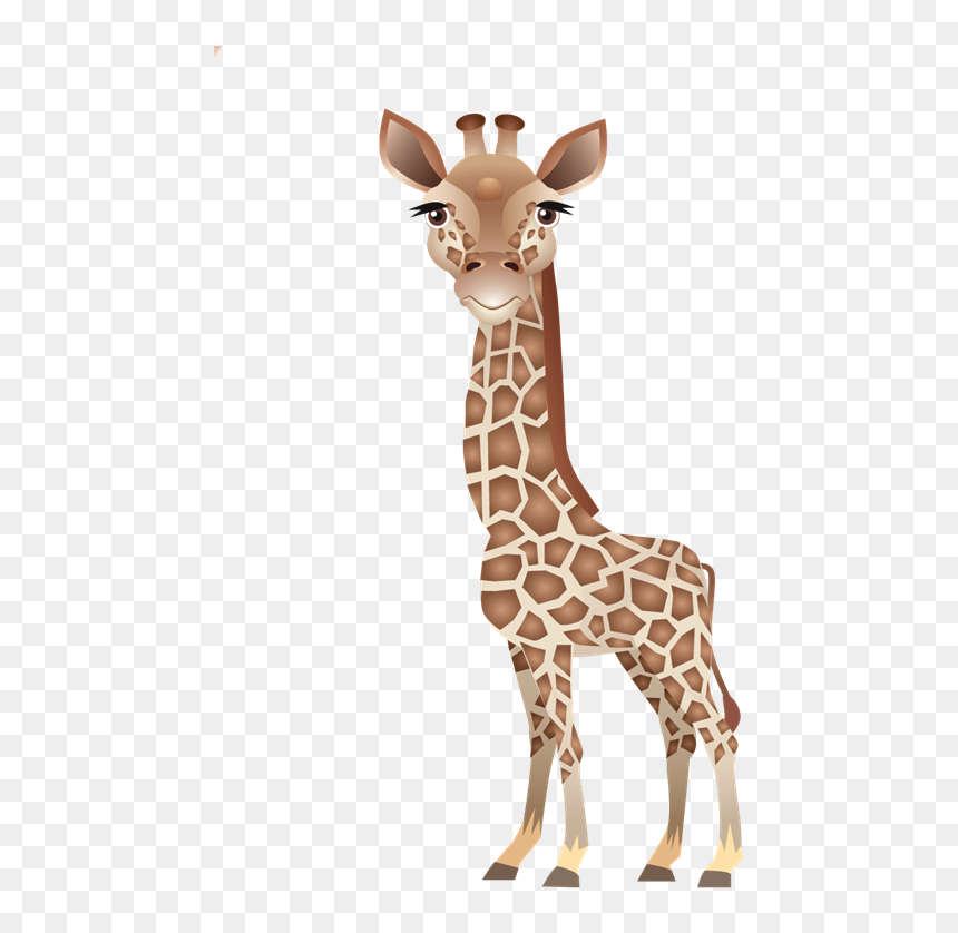 Clip Art Leopard About Giraffes Northern - Baby Giraffe Png, Transparent Png - giraffe png